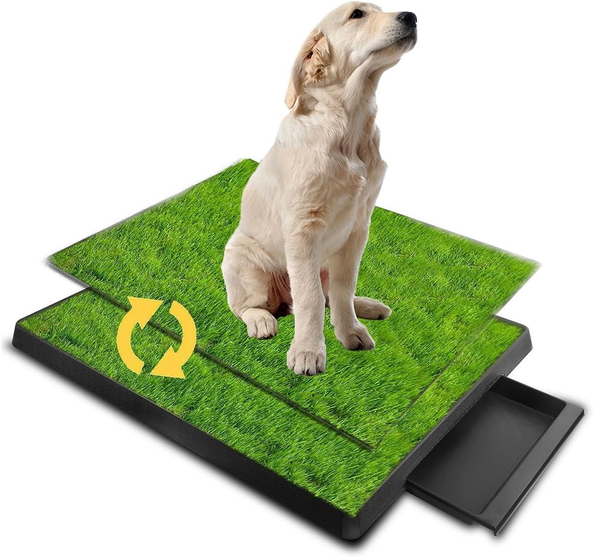 Grazing Training Pad voor Honden en Katten - Geurloos Binnenpotje van 63 x 51 cm voor Effectieve Training en Hygiëne