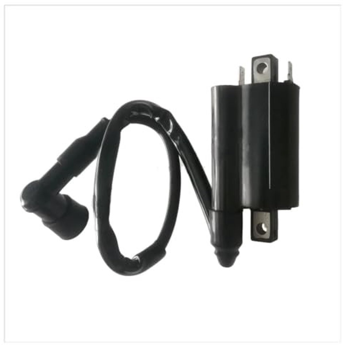 Bobine voor Cruiser Dorado 250 - 2 Stuks