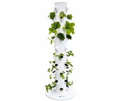 Hydrocultuur Kweeksysteem - 36 Planten - 165 cm - 9 lagen - Hydroponics - 0,21 m² footprint