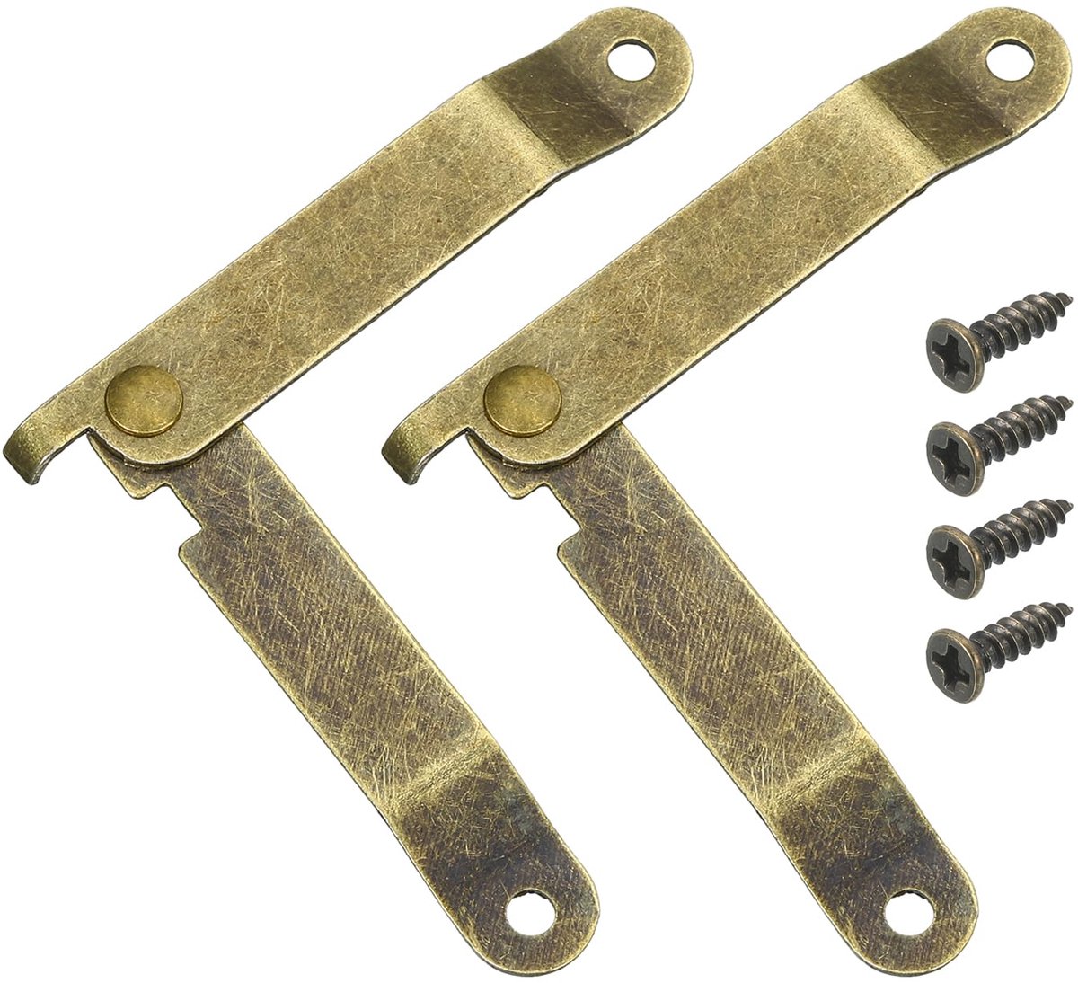 2 Stuks Klapdekscharnier van IJzer 112 x 11 mm met Schroeven