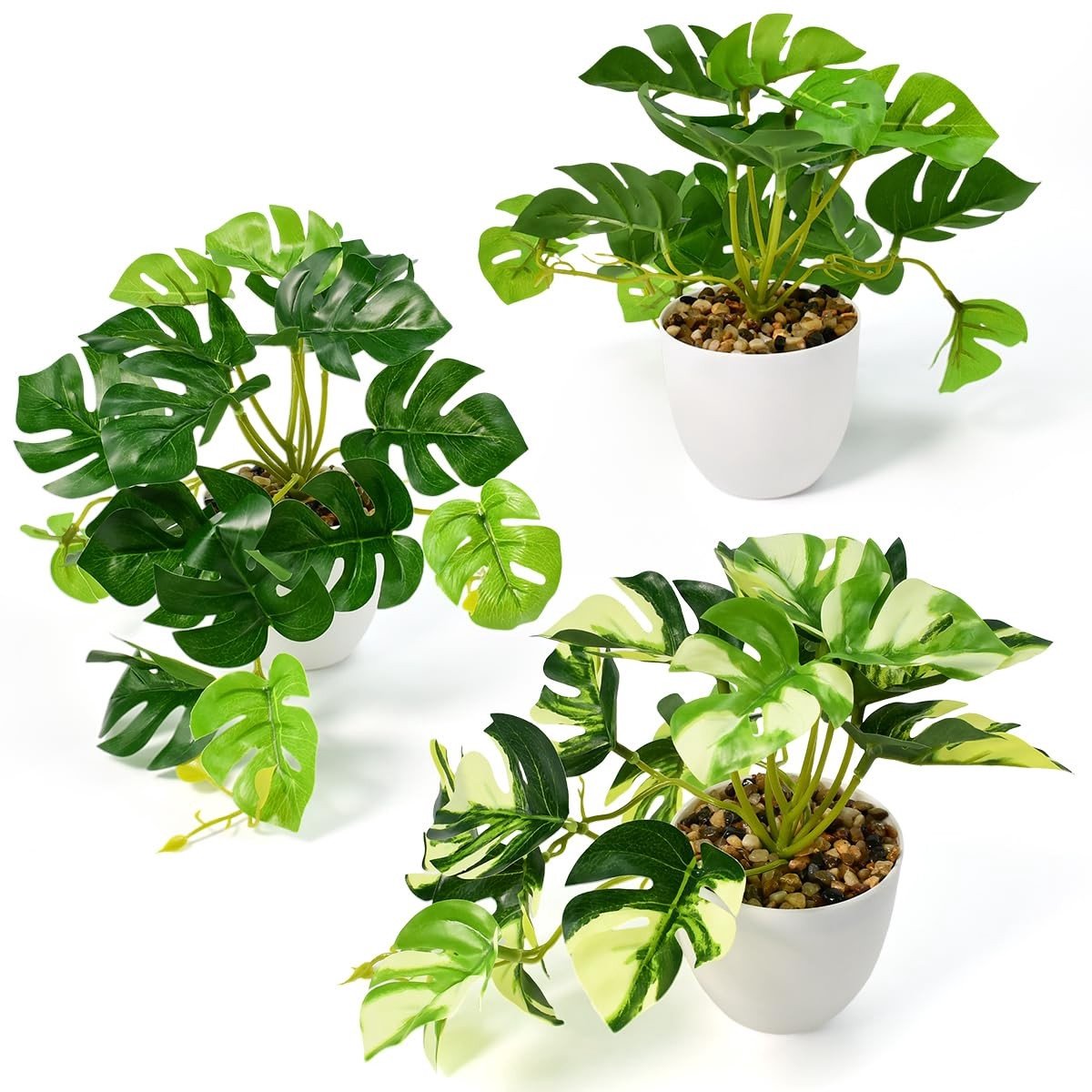 Solidchoice - Imitatie Schildpaddenblad Kamerplant in Pot