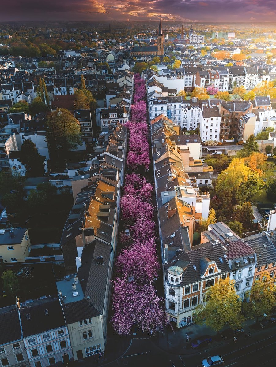 Solidchoice - 1500 Delen Puzzel van Blühendes Bonn