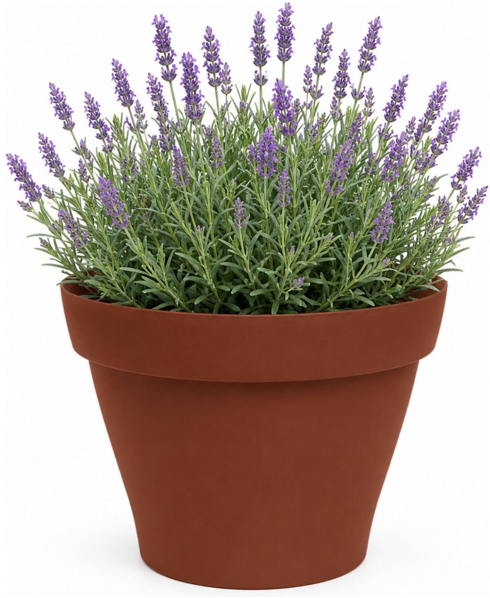 EDA Romeo Bloempot / plantenpot - kunststof - terracotta - D50 x H39 cm - binnen en buiten