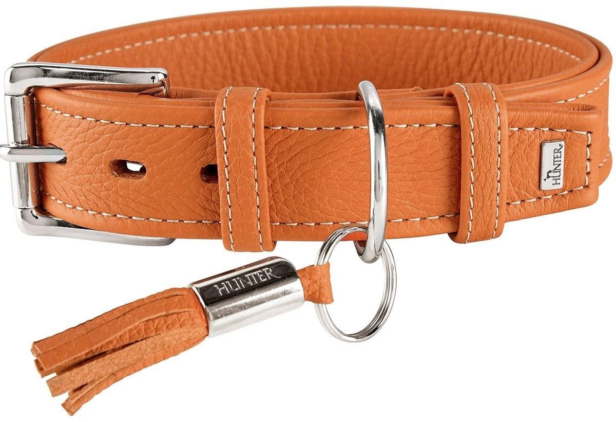 Solidchoice - Luxe Leren Hondenhalsband met Sleutelhanger, Gemaakt van Napa Leer