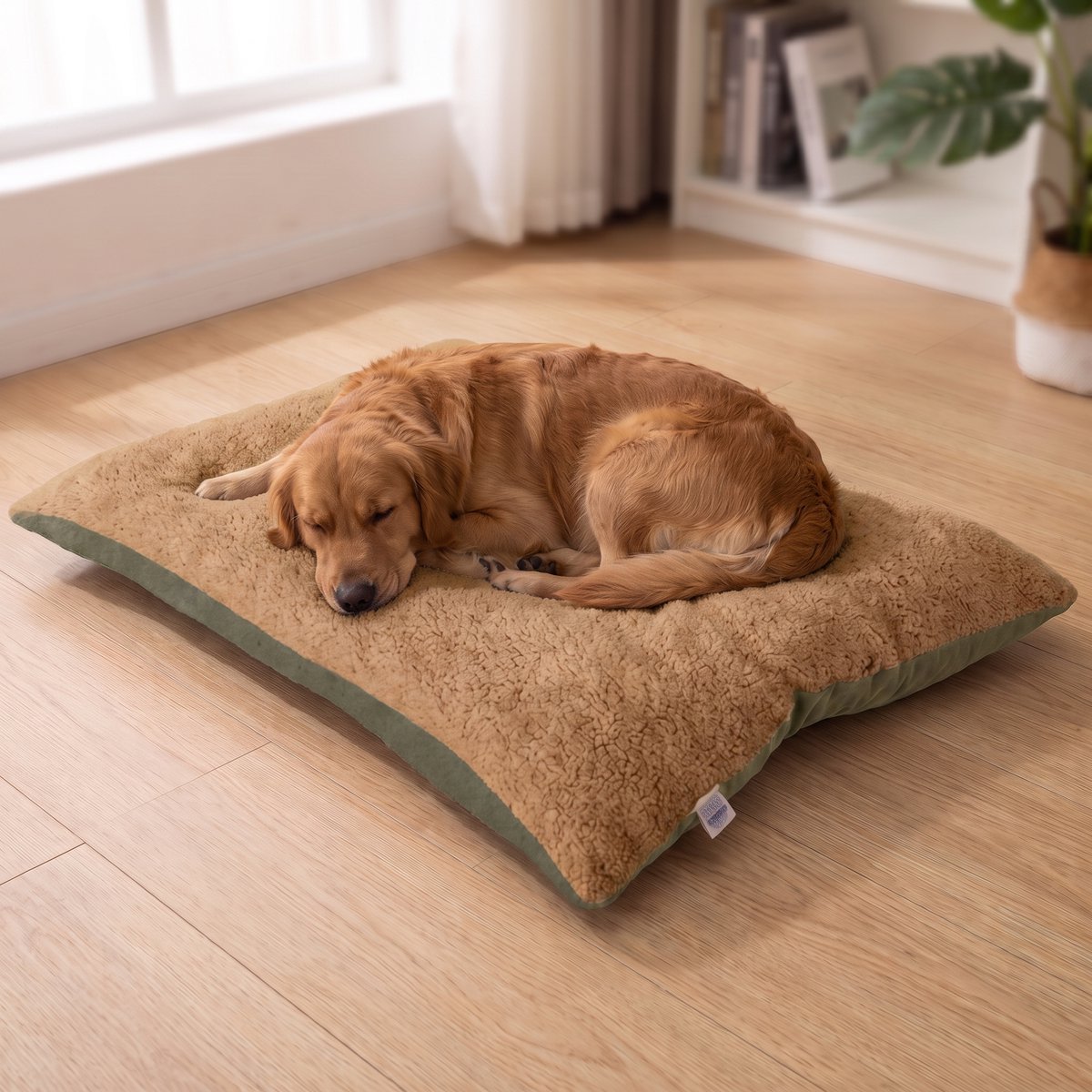 INDECOR Hondenkussen & Kattenkussen – Dubbelzijdig Huisdierbed – Wasbaar Dierenkussen – Zacht Ligkussen voor Hond & Kat – 60 x 90 cm – Groen-Olijfgroen