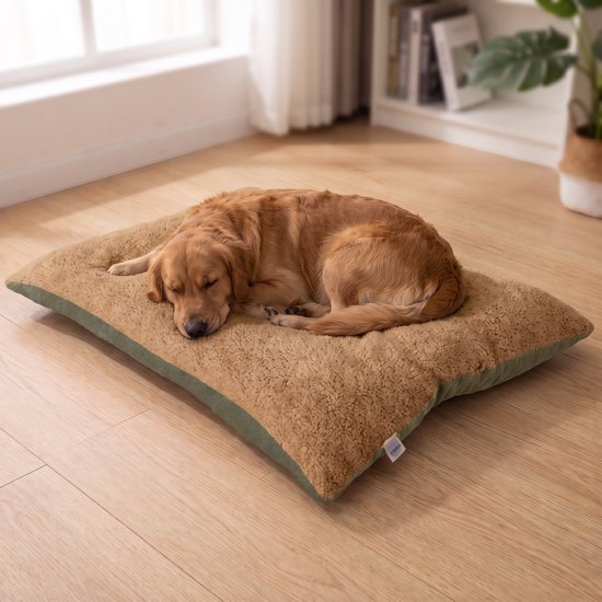 Un Golden Retriever dort sur un lit brun et doux pour animal de compagnie avec un dessous vert.