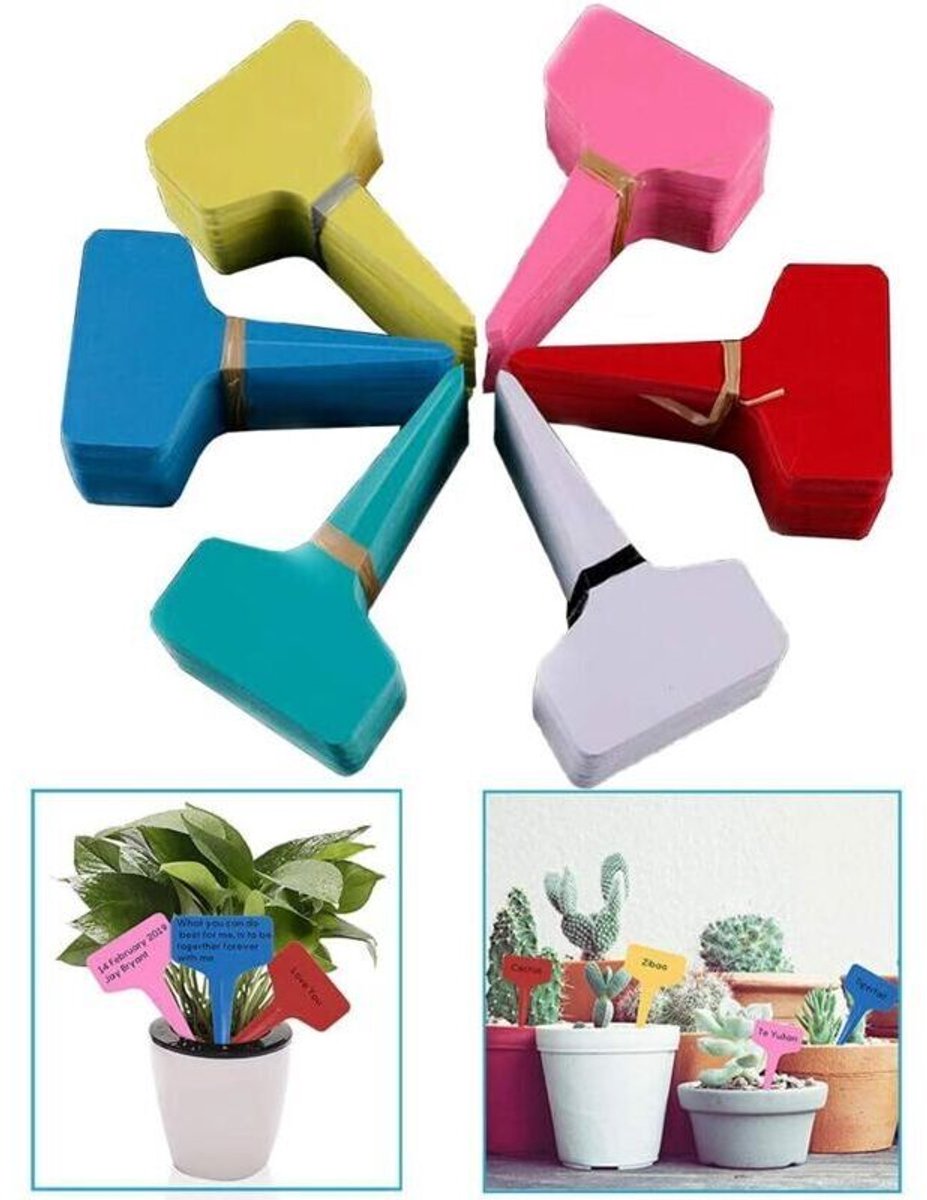 Plantenetiketten en -labels, kaasetiketten, tuinbordjes, etiketten geschikt voor de moestuin, etiketten geschikt voor zaailingen, klein gereedschap, tuinaccessoires, mini-etiketten, plantbordjes, 6 cm x 10 cm (120 stuks, 6 kleuren)