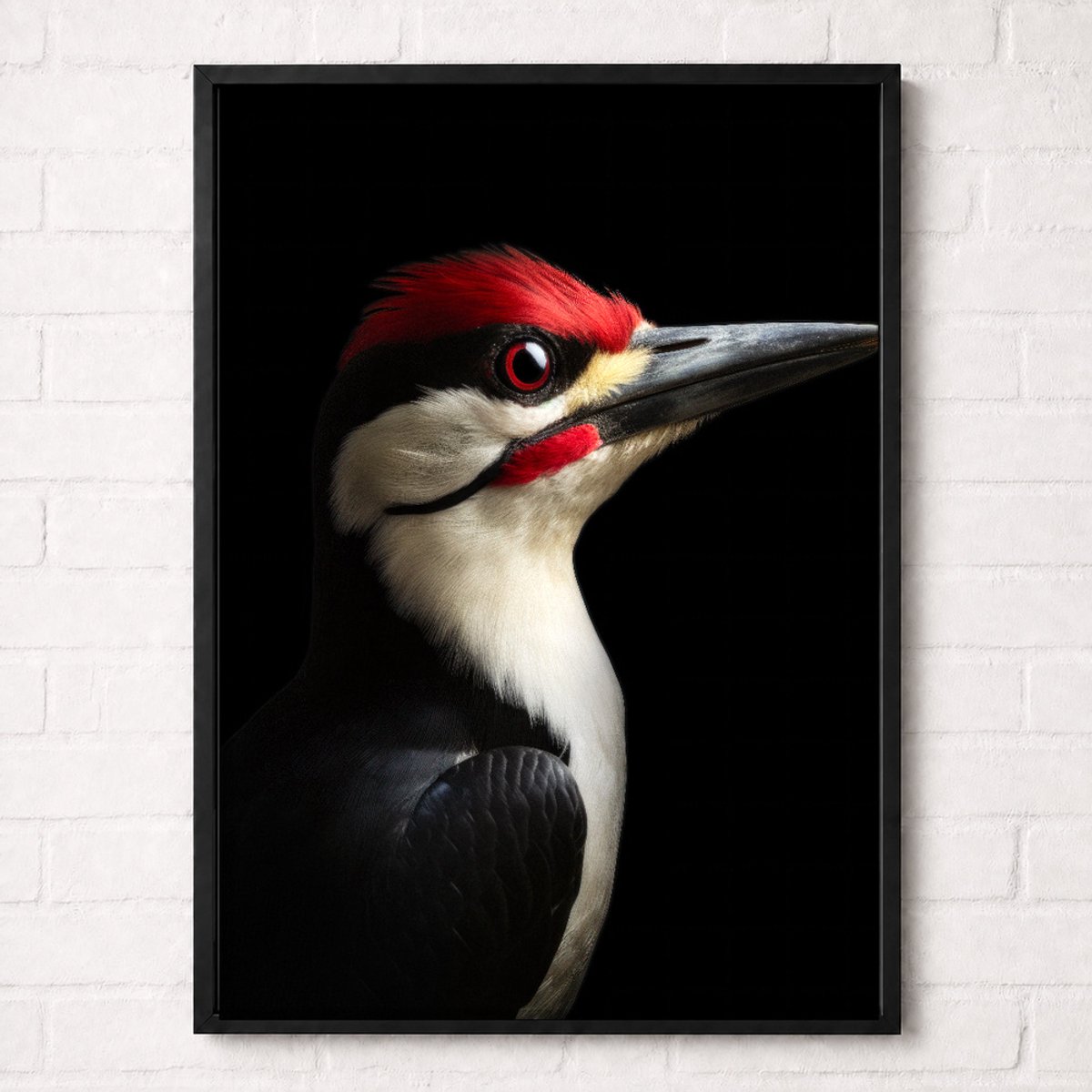 Specht Poster - Vogelportretten Collectie - Dieren Posters - A1+ 61 x 91,5 cm