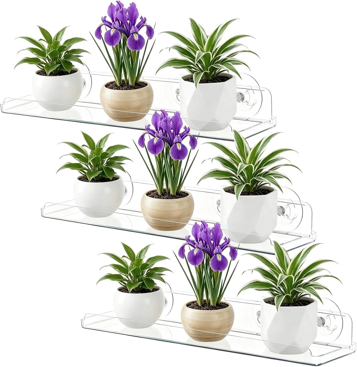 Vensterplantenrekken 30 cm - acryl - 12 zuignappen - perfect voor kamerplanten - ShopVlot