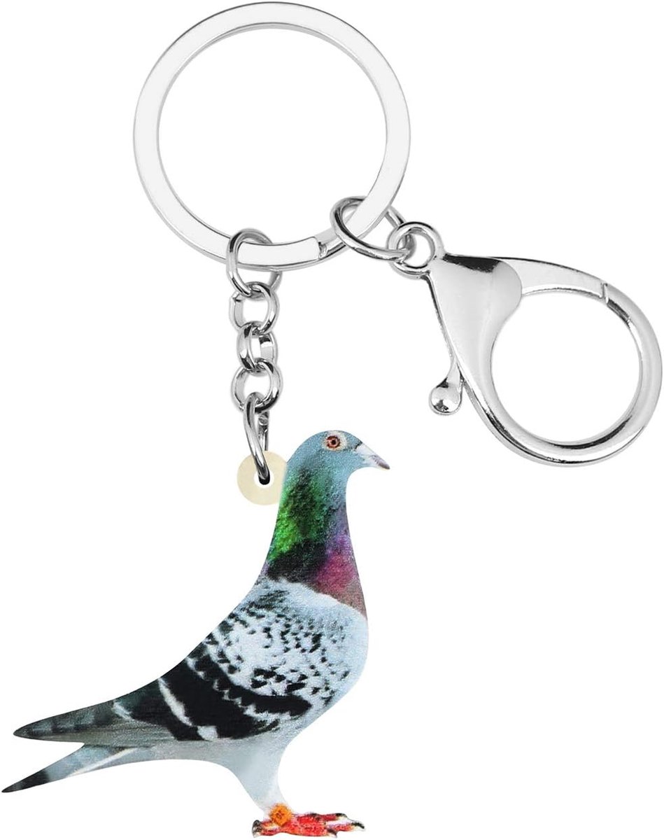 Sleutelhanger met Acryl Pigeon - Schattige Vogel Sleutelring - Perfect voor Dames en Meisjes - Originele Accessoire - ShopVlot
