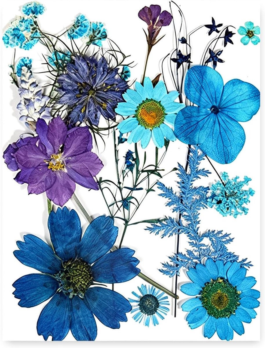 Droogbloemen voor Harz Kunst - 15 stuks Blauwe Gepresste Bloemen - Creatief DIY materiaal - Perfect voor sieraden maken - ShopVlot