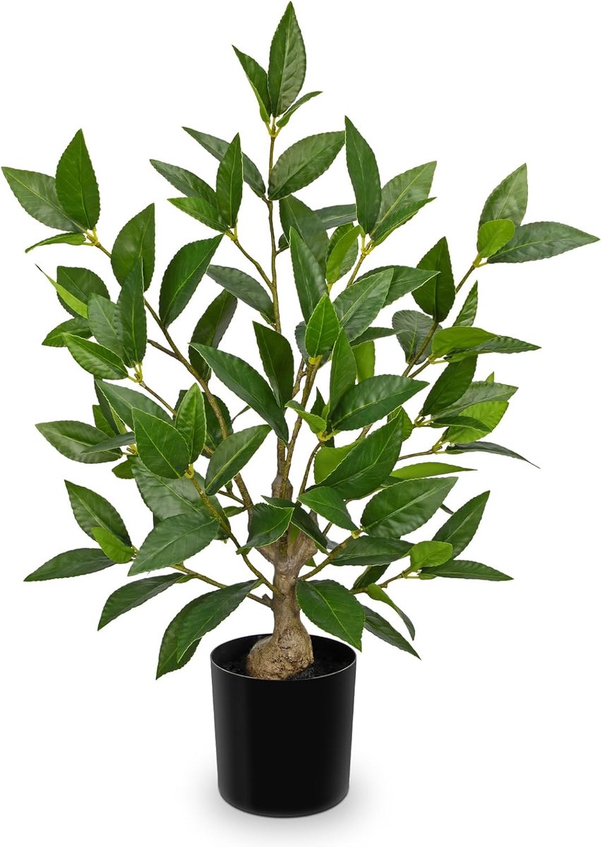 kunstplant laurierboom 50cm - zwarte pot - decoratief - brengt natuur binnen - ShopVlot