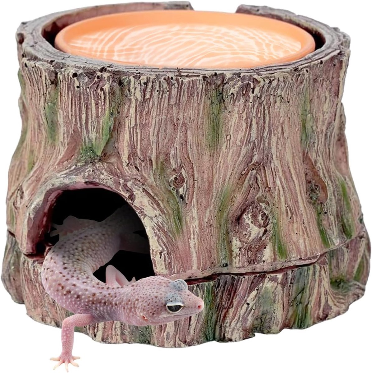 Reptielen woonruimte 3-in-1 - Duurzaam resin - Verstevigde constructie - Veilig en comfortabel voor uw huisdier - ShopVlot