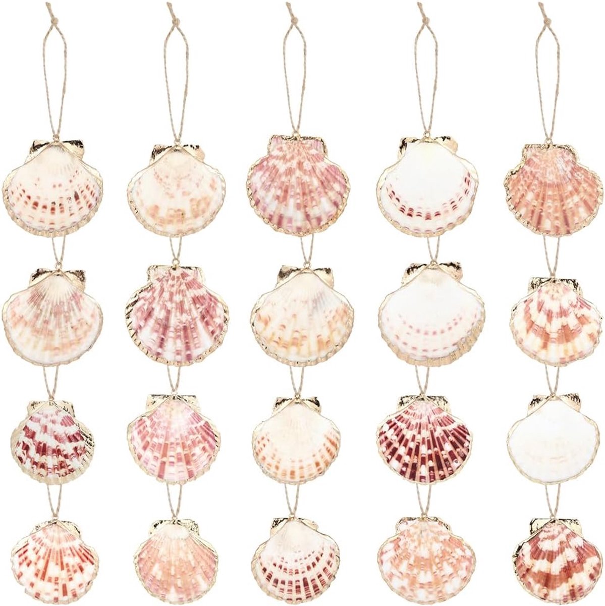 Natuurlijke schelpen 20 stuks - 4,5 - 5,5 cm - kleurrijk met touw - perfect voor decoratie - ShopVlot