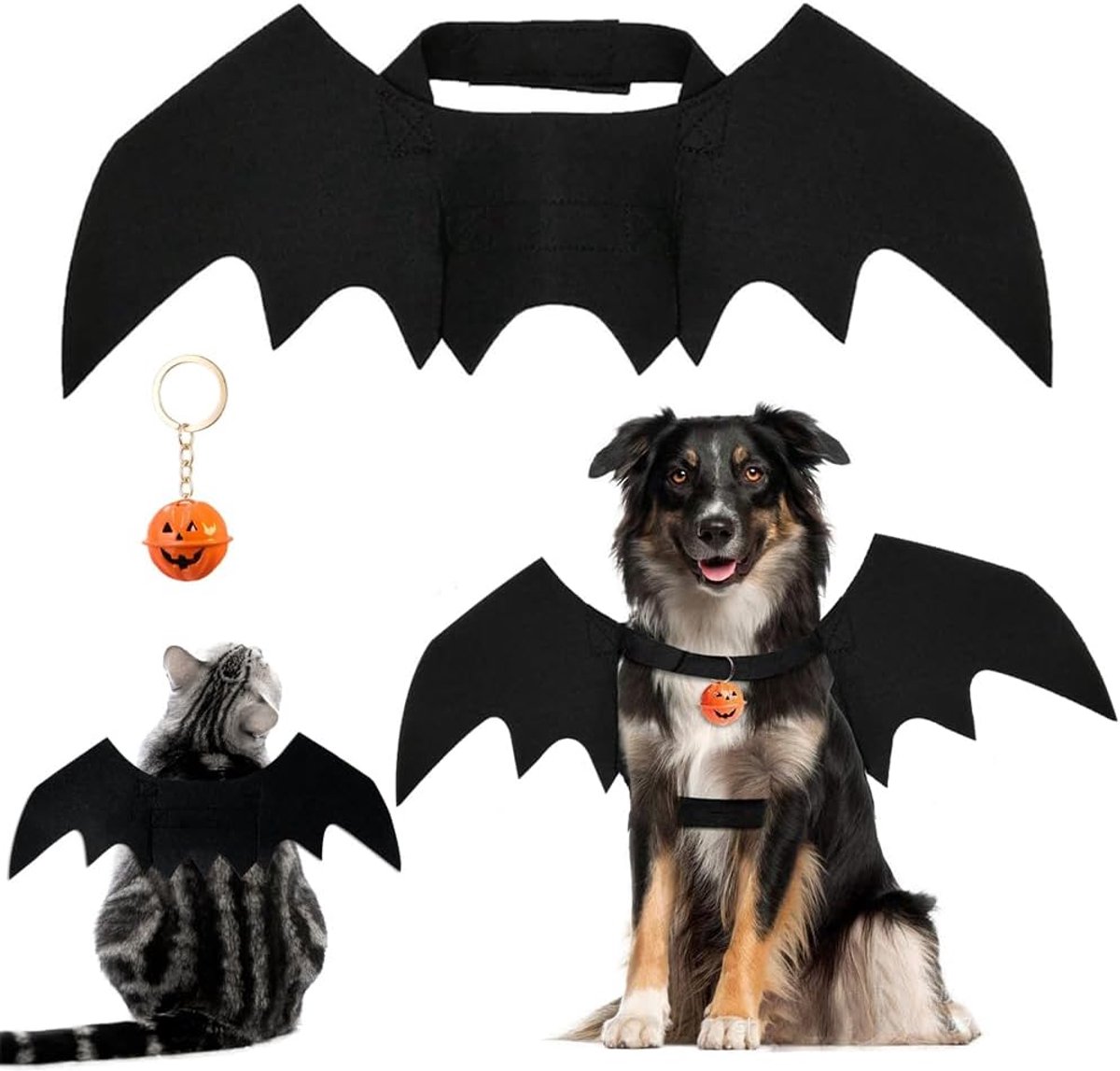 Pet Bat Wings Bat Costume Cat Bat Costume Bat Costume Bat Costume Bat Costume Bat Halloween Pet Wings with Pumpkin - ShopVlot