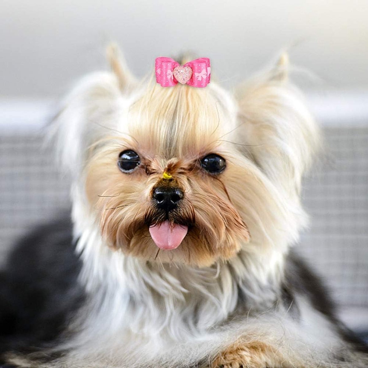 Hond haaraccessoires 15-delig - Multicolor haarstrikken - Schattige decoratie - Perfect voor huisdieren - ShopVlot