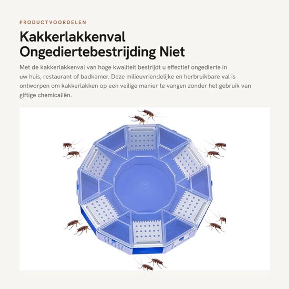 Kakkerlakkenval Herbruikbaar - Ongediertebestrijding - Niet Giftig - Milieuvriendelijk - Insectenvanger - 14x14x2,5 cm