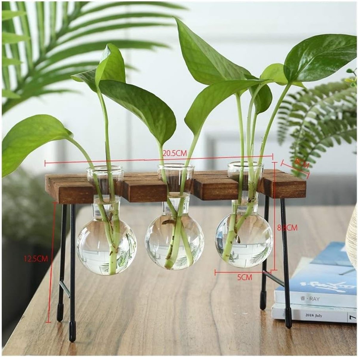 Para Tafel Bureau Test Tube Glas Hydroponische Bruine Vaas Bloem Plant Pot Houten Lade Ornament