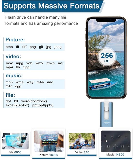USB Flash Drive - Geheugenstick Telefoon - Foto Opslag - Hoge Snelheid - 256GB - Blauw — afbeelding 3