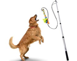 Flirtpaal voor honden met veilig en sterk niet-elastisch koord, telescopische kunstaasstok voor honden van elke grootte, hondenspeelgoed voor training en oefening van Yes4Quality
