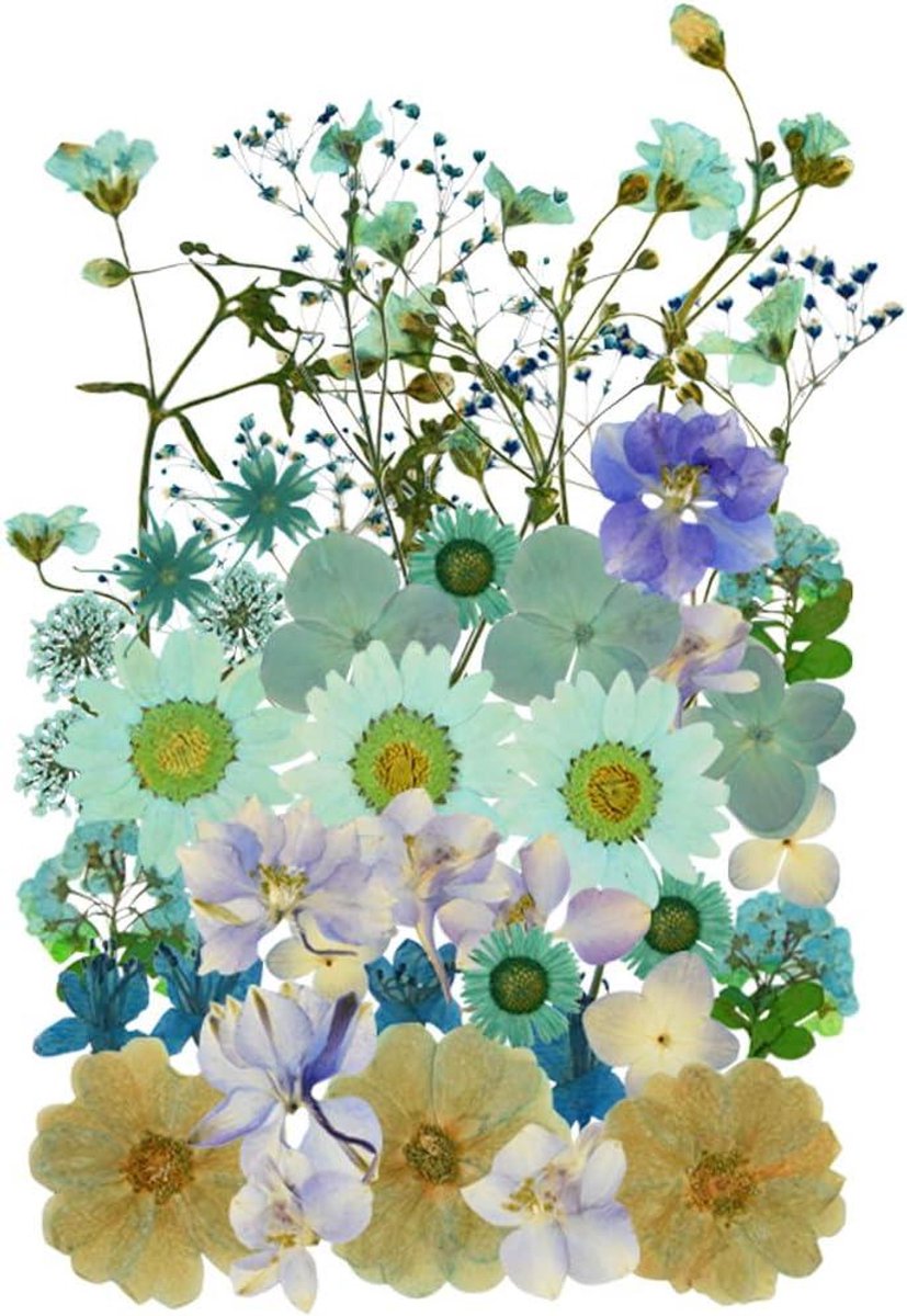 Gedroogde Bloemen Mix - Geperste Bloem Mini Roos - Ambachtelijke Decoraties - Natuurlijk Gedroogd - 39 Stuks - Lichtblauw