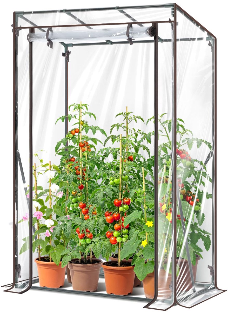 Broeikas, kleine premium foliekas, tomatenkas voor balkon, tomatenhuis, broeikas, balkon, overwinteringstent voor planten, stabiel, winterbestendig, pvc, 100 x 50 x 152 cm