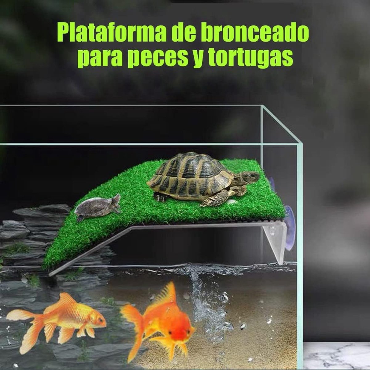 1 stuk klein schildpadplatform, rustplatform, schildpadplatform, voor kleine reptielen-kikker, antislip, voor aquaria