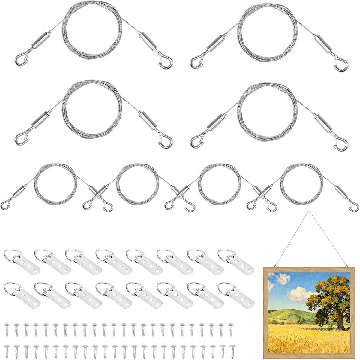 Fotodraadtouw: de set foto-ophangdraden bevat verstelbare draden, 3-gaats D-ringen en schroeven. Robuuste set voor ophangdraden voor canvas, schilderijen, spiegels, lijsten (zilver, 8 stuks)