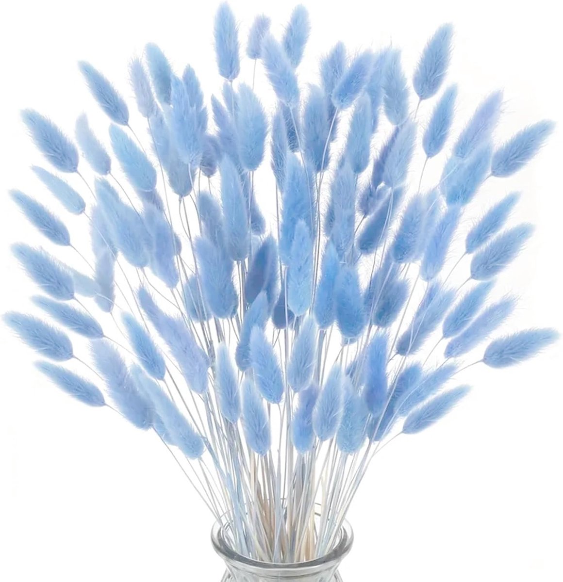 Gedroogde konijnenstaartbloemen, konijnenstaart, pampasgras, gedroogde bloemen, decoratief pampasgras, blauw gedroogd pampasgras, decoratie, geschikt voor thuis, bruiloften
