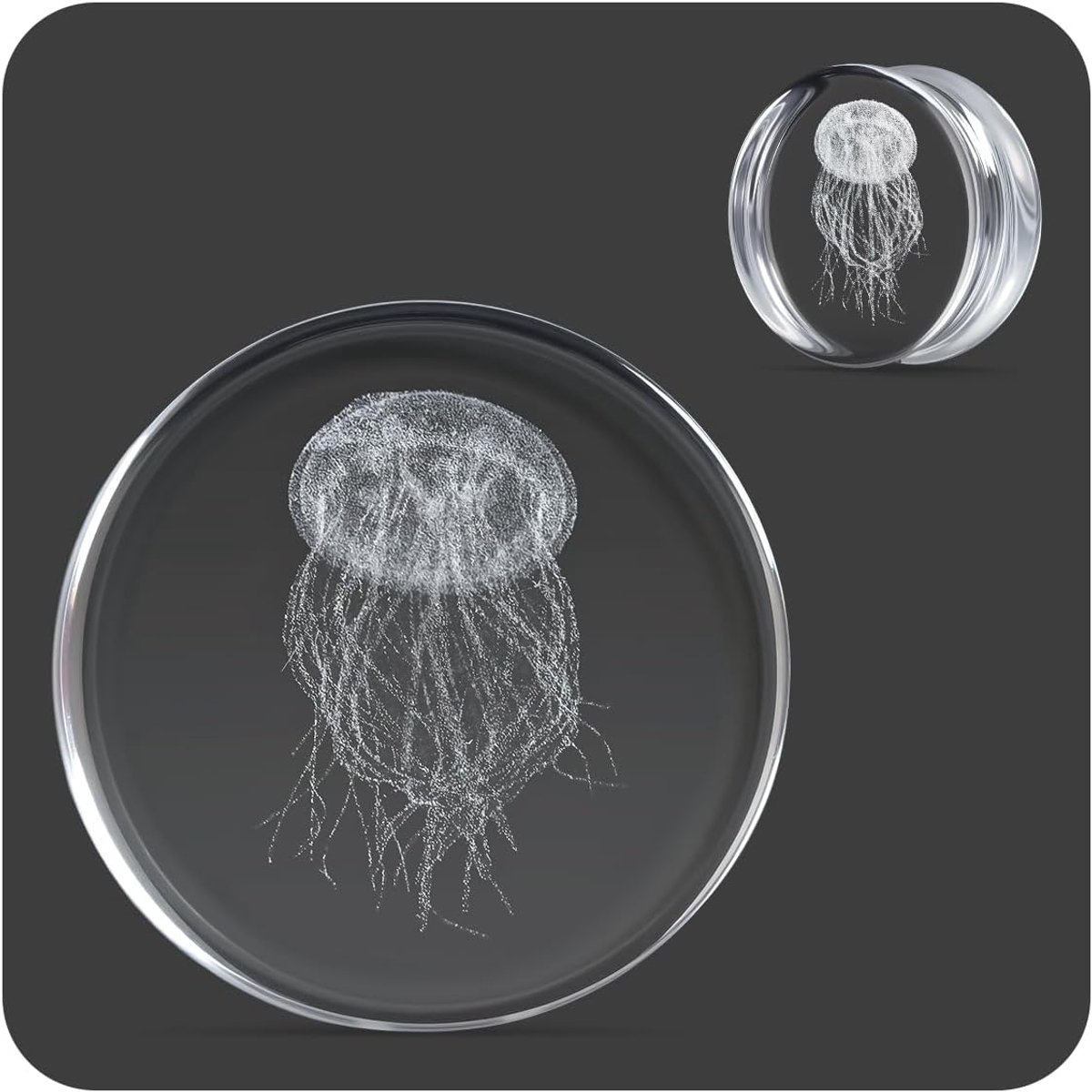 Unieke lichaamssieraden helder glas octopus oordopjes tunnels, meters voor uitgerekte oorpiercings.