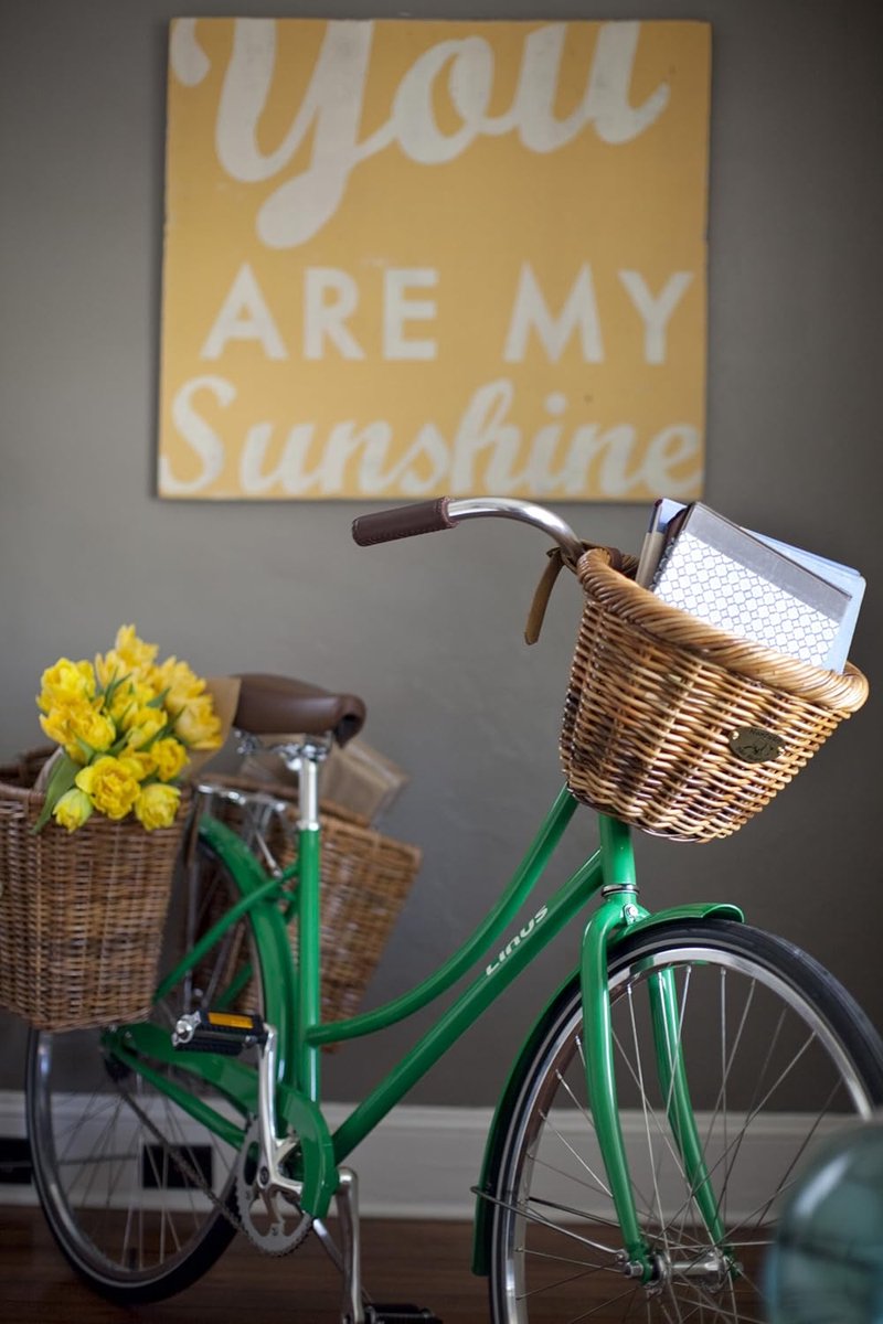 Fietsmand Ovaal - Mand Voorfiets - Boodschappen Vervoeren - Klassiek Design - 29x24x24 cm - Natuurlijk Honing