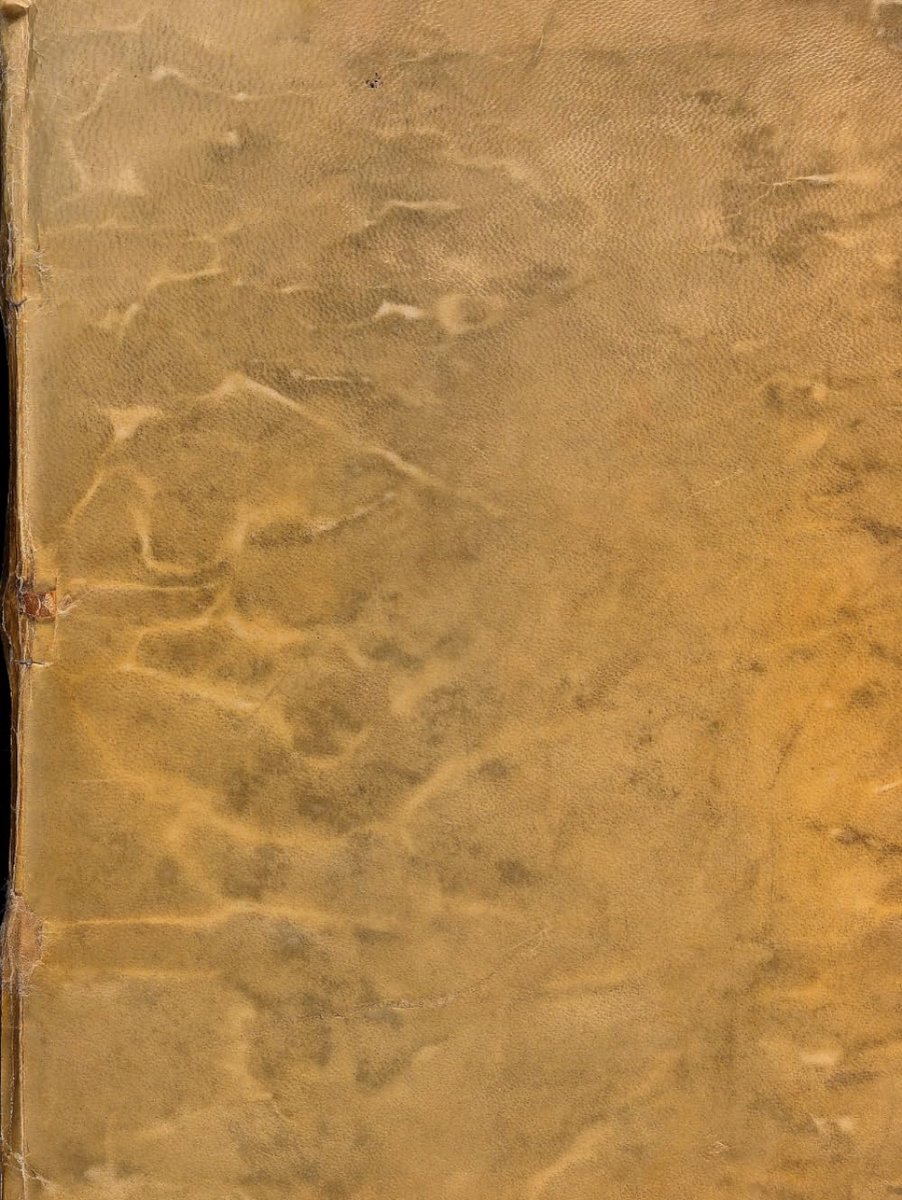 Voynich Manuscript: Luxury coffee table edition - (without additional text)