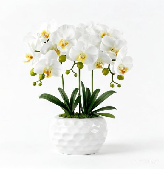 PlusFive Kunstorchideeën in pot, witte Phalaenopsis kunstbloemen van zijde, orchideeën kunstmatig als echt, voor - ShopVlot