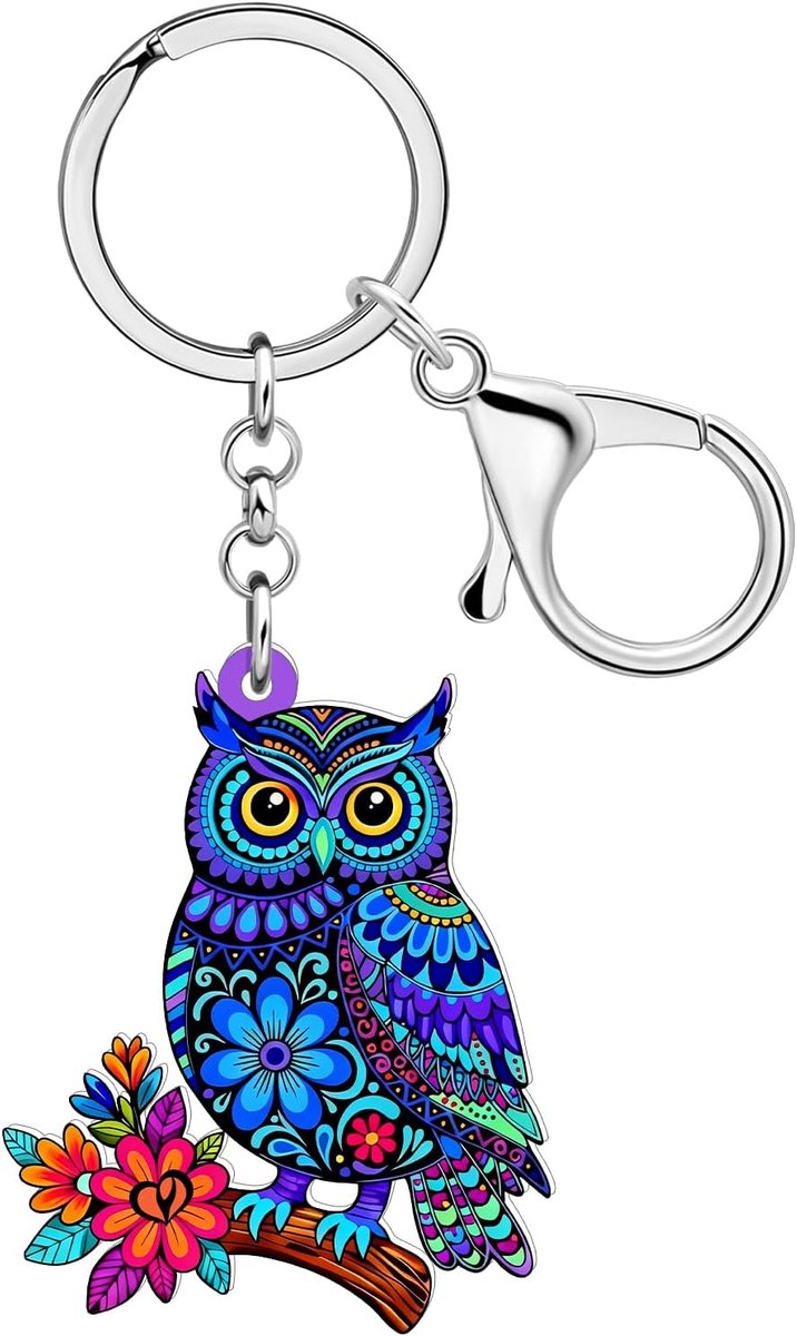 Acryl Boho Leuke Uil Vogel Sleutelhanger Uil Geschenken Voor Vrouwen Vogel Liefhebbers, Dier Vogels Sleutelhangers Autosleutels Portemonnee Accessoires