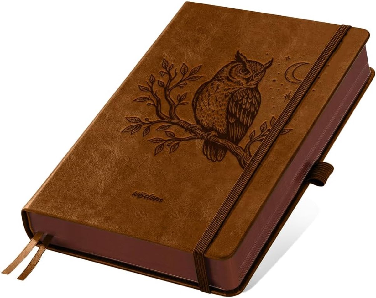 Uil op tak lederen dagboek, 300 pagina's, gelinieerd notitieboek, bruin vintage patroon, hardcover, notitieboek voor reisdagboek, zaken, werk en school, dagelijks schrijven