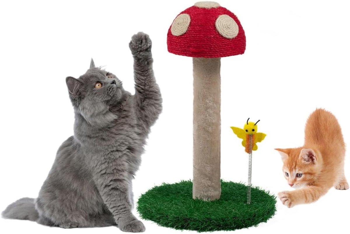 Krabpaal voor katten, krabpaal met paddenstoelmotief met drie verschillende texturen, krabpaal voor katten met veer en belletje, kattenaccessoires, 45 cm hoog, krabpaal kat