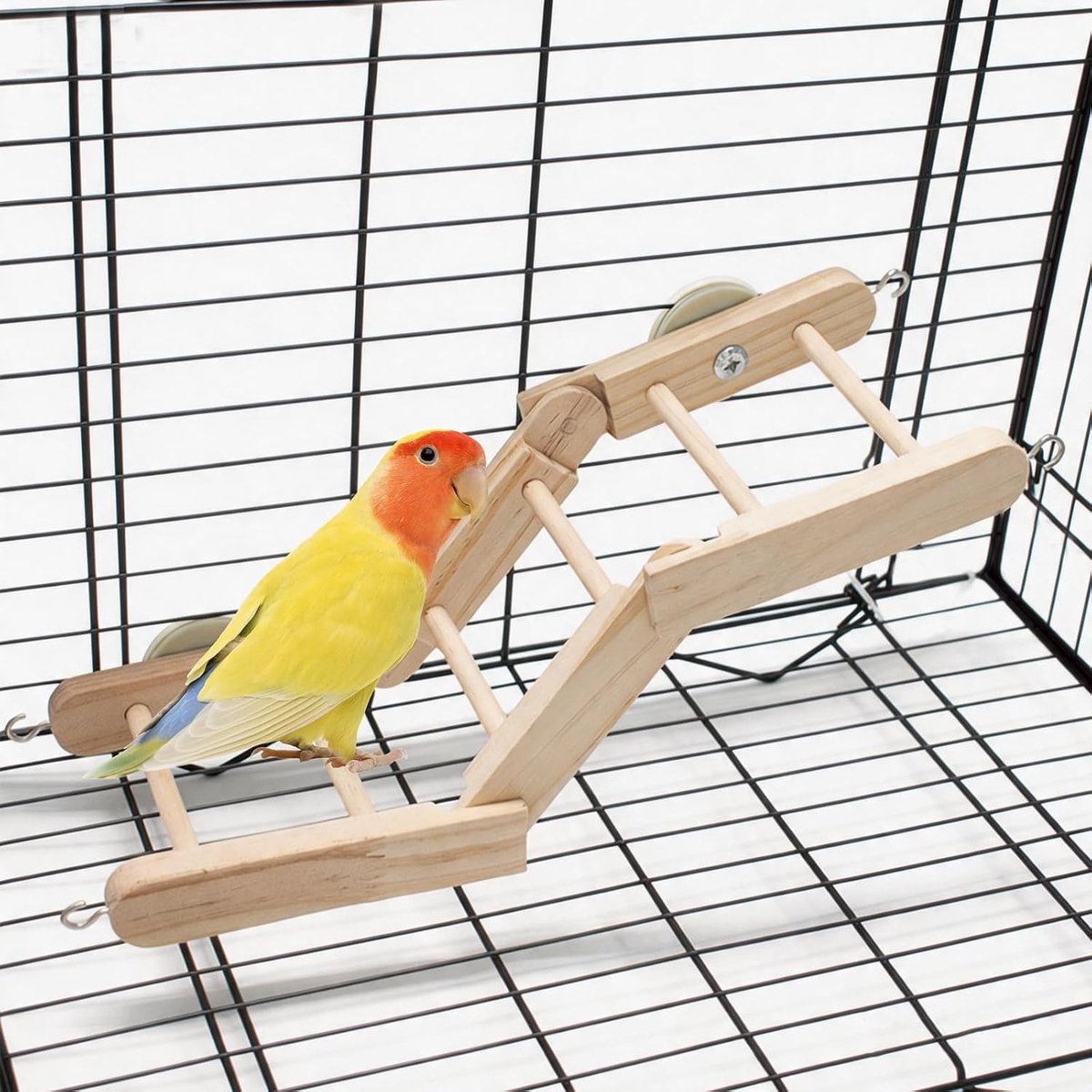 Speelgoed, hamsterbrug, verstelbare rattenladder met 3 segmenten, klimladder, trap, platform voor klimmen, spelen en knagen, 32,5 x 11,5 cm