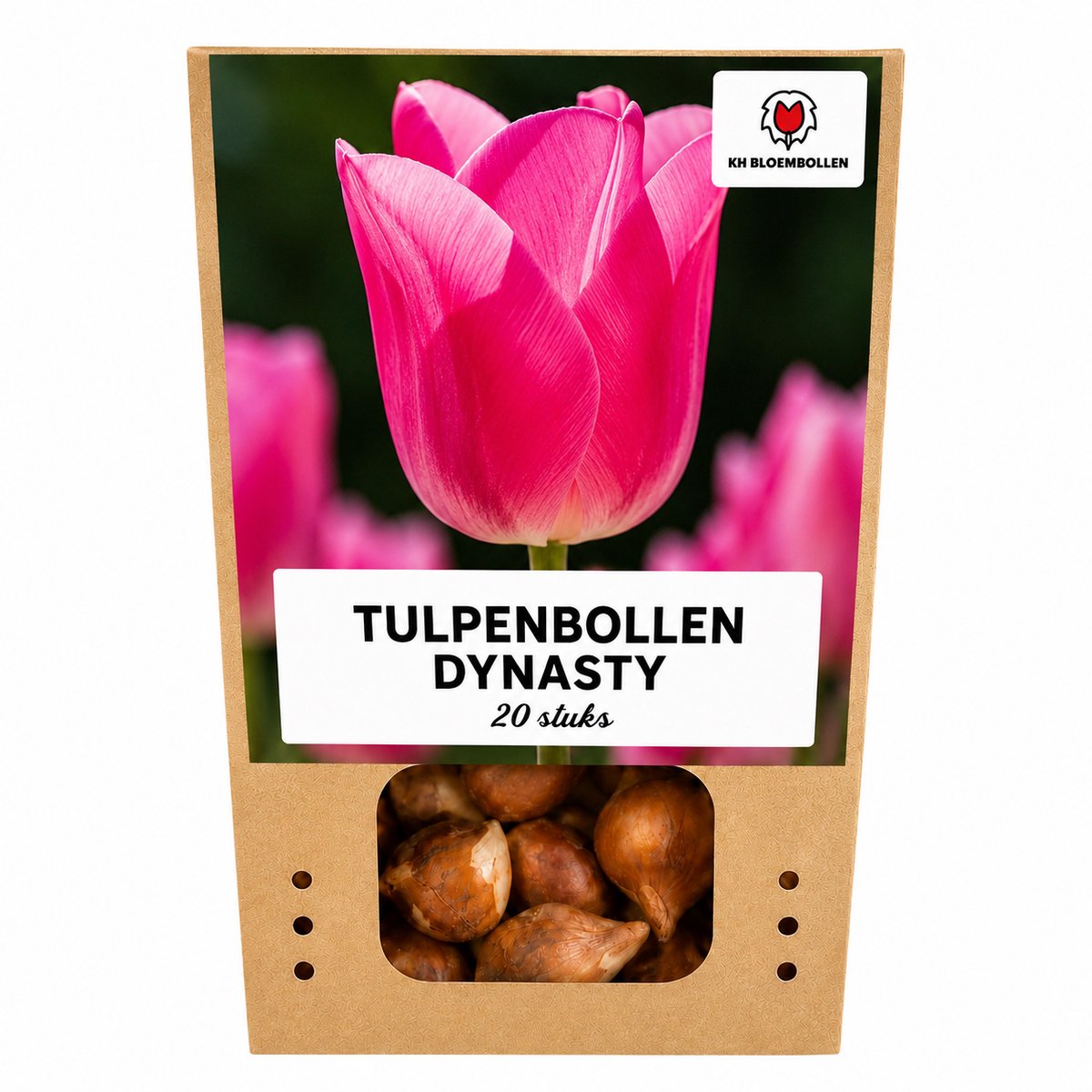Tulpenbollen Dynasty – 20 Stuks | KH Bloembollen® | Roze Tulp – Elegant & Vol – Voor Tuin of Pot – Maat 11/12 – Vers van de Teler