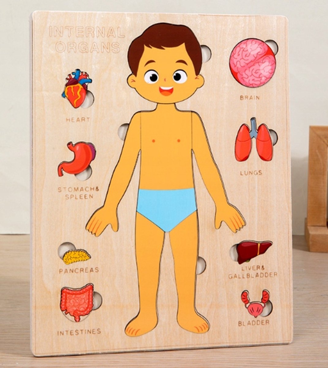Houten Anatomie Puzzel Menselijk Lichaam met Organen voor Kinderen
