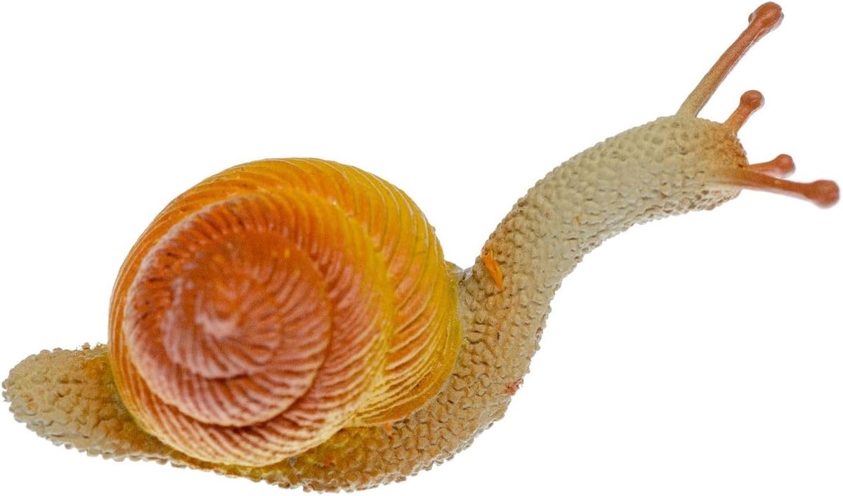 Slak Broche Pin Badge Knop Shell Slug Land Trail Bruin, 50mm, Rubber, Shell, niet bekend