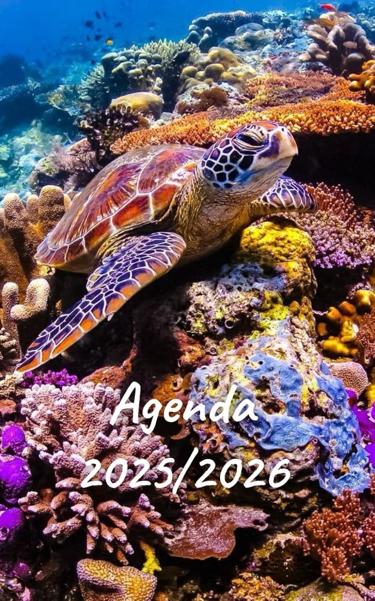 SnelShoppen - Agenda 2025/2026 | Planificateur scolaire journalier | Emploi du temps | Calendrier | Een pagina per dag | Perfect voor school, werk en