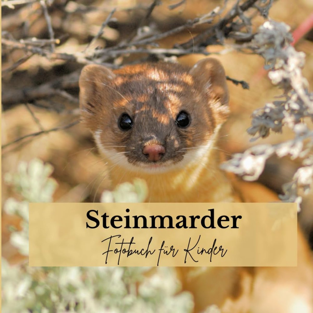 Fotoboek voor kinderen - Steinmarder - Leerzaam - Ontdek de natuur - ShopVlot