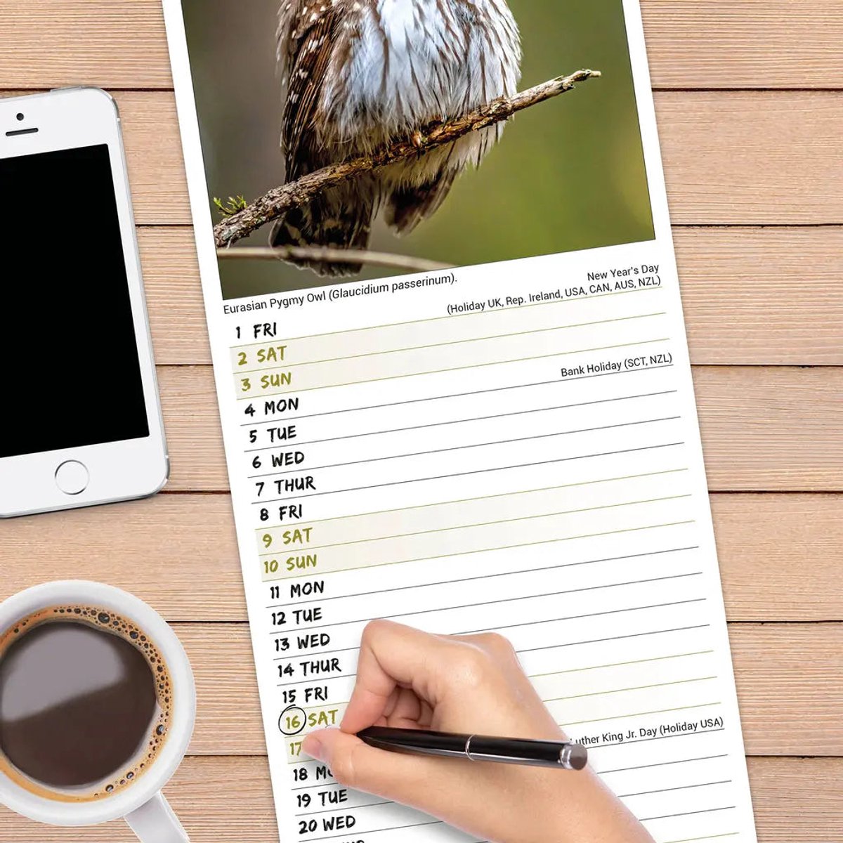 Uilen Kalender 2027 Slimline