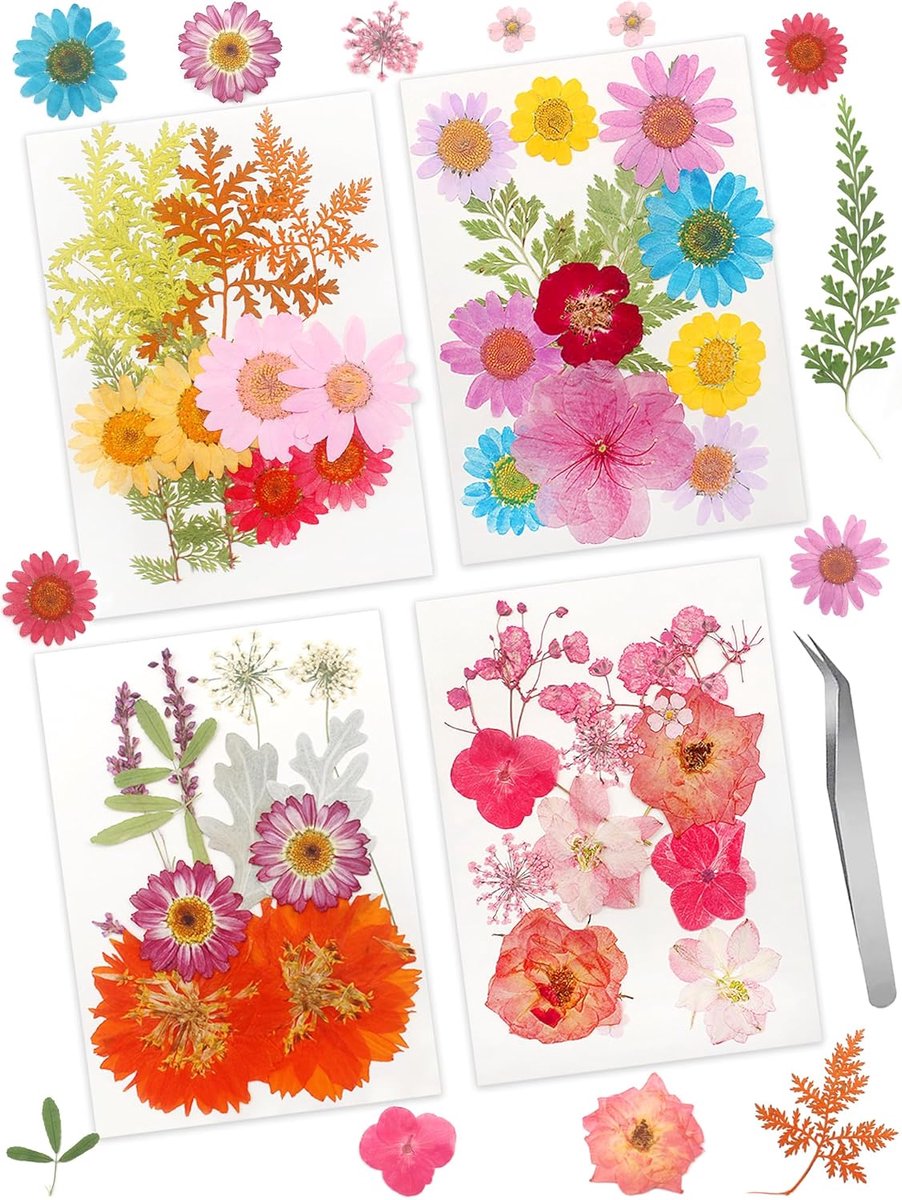 Gedroogde bloemen 48pcs - Natuurlijk materiaal - Voor ambacht en decoratie - Perfect voor kaarsen en sieraden - ShopVlot