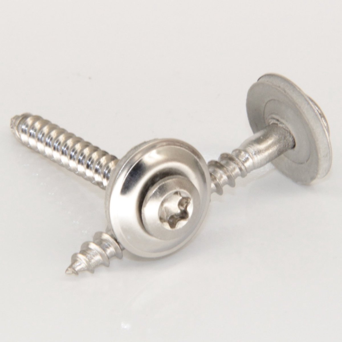 Schroef A2 4,5x45 mm - RVS met neopreen ring - Torx TX20 - Voor waterdichte verbindingen - ShopVlot