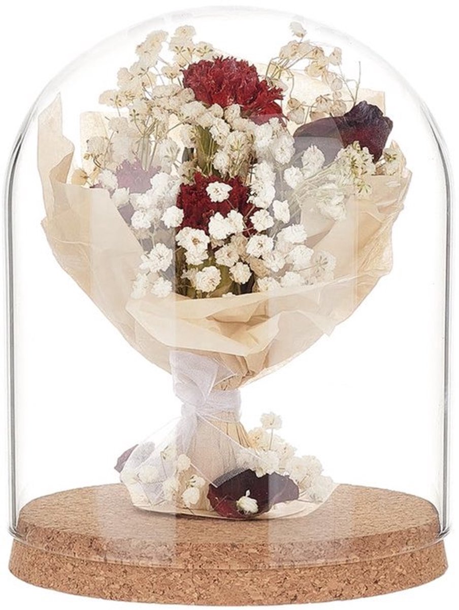 Koepelbel - Glazen Display 19 x 15 cm - Met Kurkbasis voor Bloemen en Decoratie