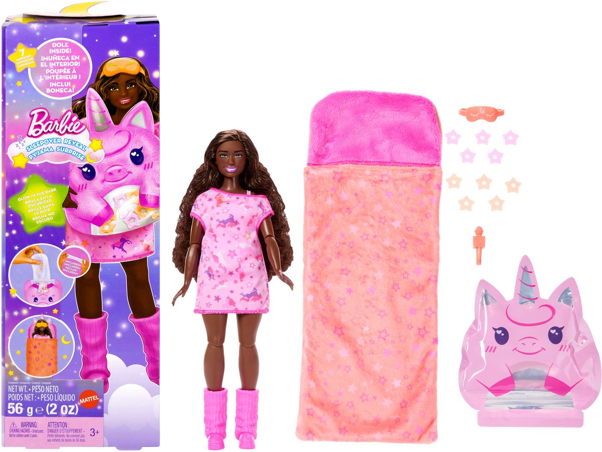 Barbie Sleepover Reveal Doll and Accessories