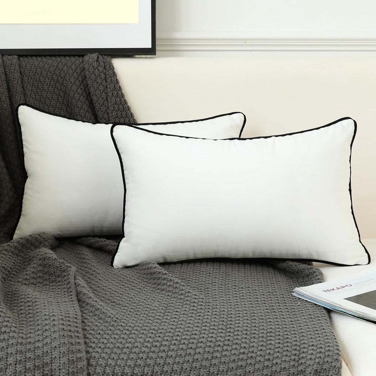 SnelShoppen - Set van 2 Luxe Decoratieve Kussenhoezen, Zachte Fluwelen Kussens, Rectangulaire Lumbar Kussens voor Bank, Slaapkamer, Auto, Wit 30 x 60