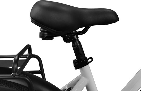 Lookroad L28 MINI Elektrische Fiets - 250W Motor, 36V 18Ah Accu, 120km Bereik, 7-Speed Shimano, Schijfremmen, Korf & Gepäckträger-Grijs — afbeelding 4