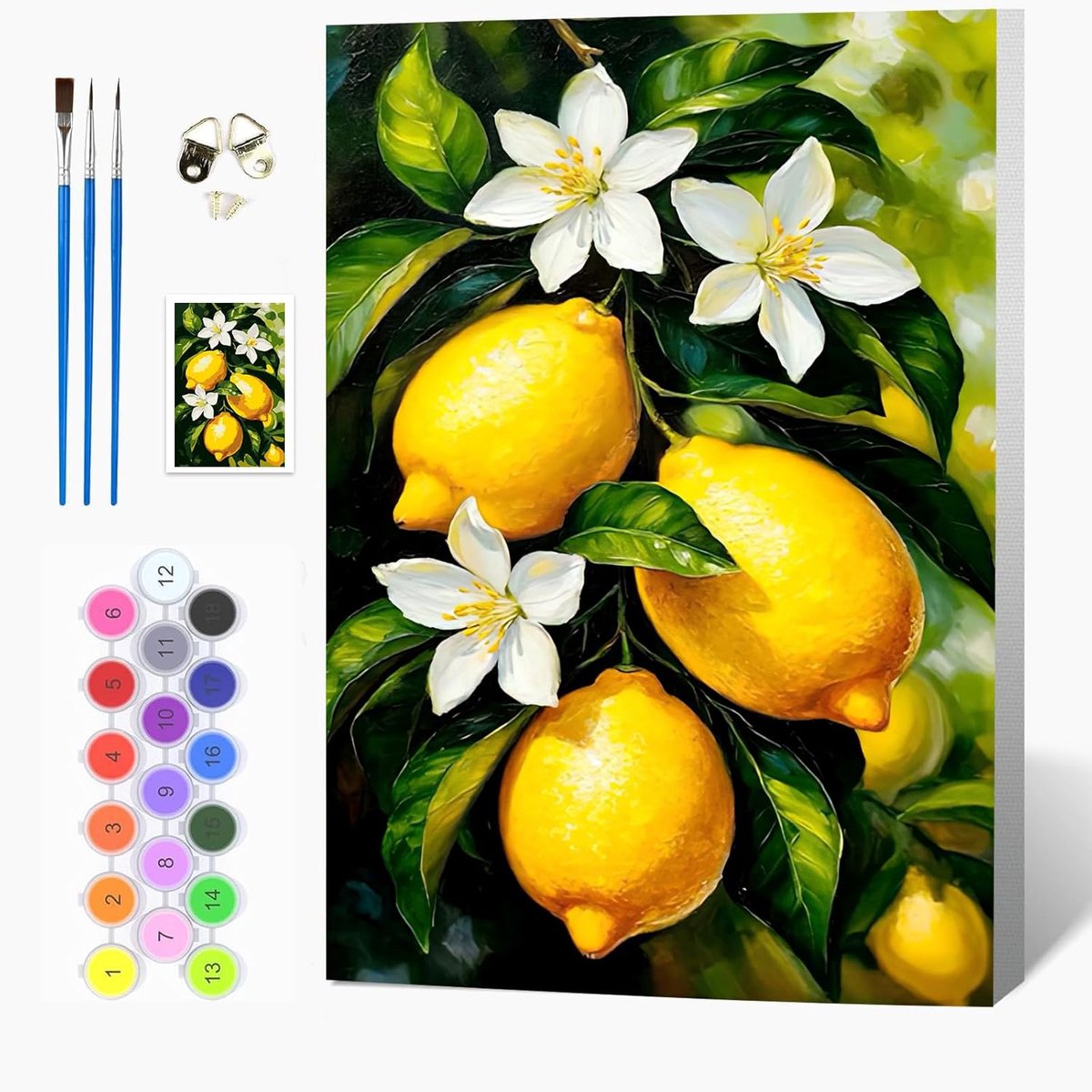 SnelShoppen - DIY Verf op Nummers Kit voor Volwassenen en Kinderen - Bloem Canvas Olieverfschilderij met Houten Frame, Acrylverf en Borstels - Creatie